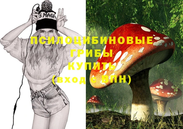 бошки Арсеньев