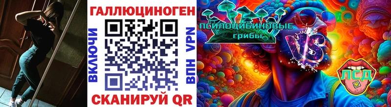 магазин    Семикаракорск  Псилоцибиновые грибы прущие грибы 
